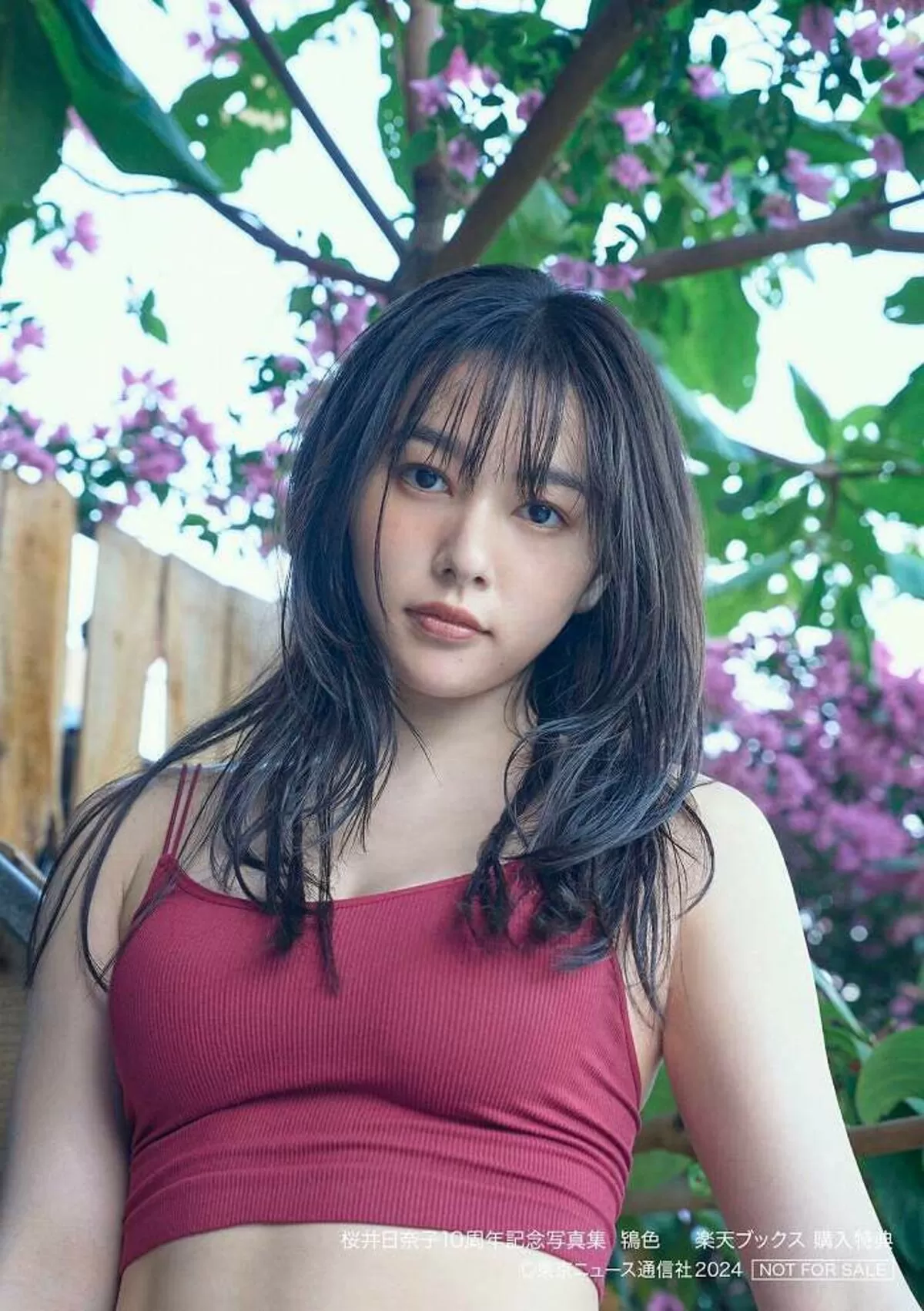 桜井日奈子エロ画像011