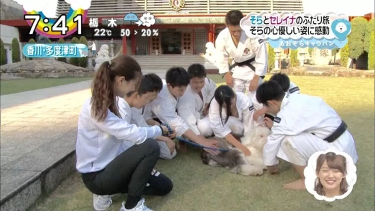 地上波 おっぱいエロ画像033