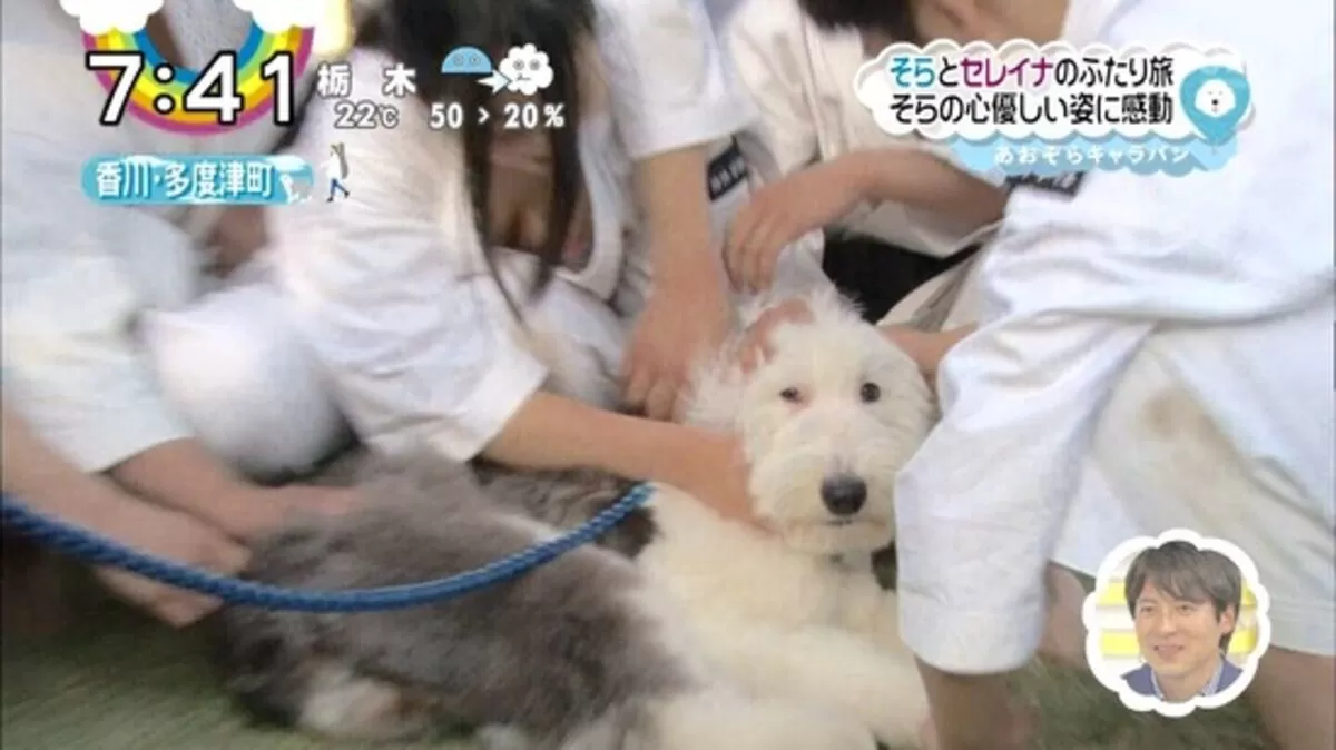 地上波 おっぱいエロ画像034