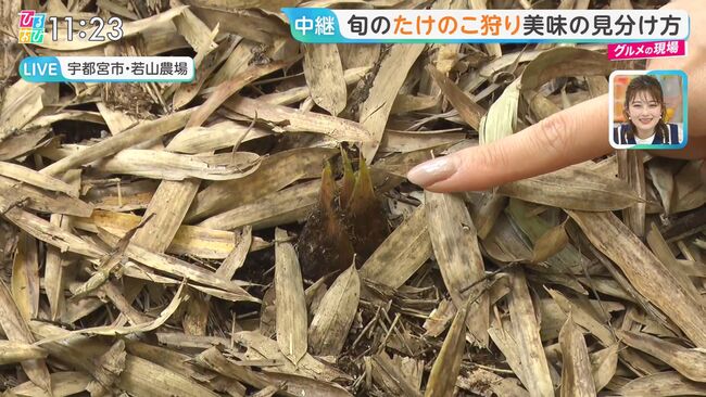 【画像11枚】ひるおびで佐々木舞音アナが白ブラ貧乳胸チラ放送事故!001