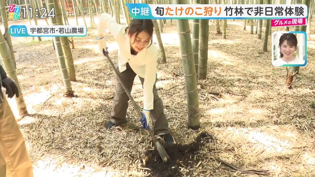 【画像11枚】ひるおびで佐々木舞音アナが白ブラ貧乳胸チラ放送事故!002