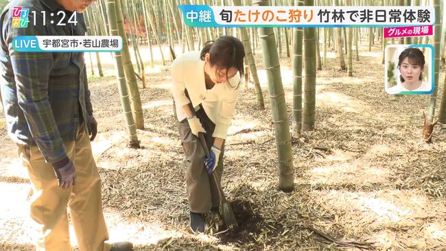 【画像11枚】ひるおびで佐々木舞音アナが白ブラ貧乳胸チラ放送事故!004