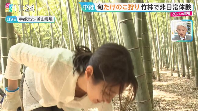 【画像11枚】ひるおびで佐々木舞音アナが白ブラ貧乳胸チラ放送事故!007