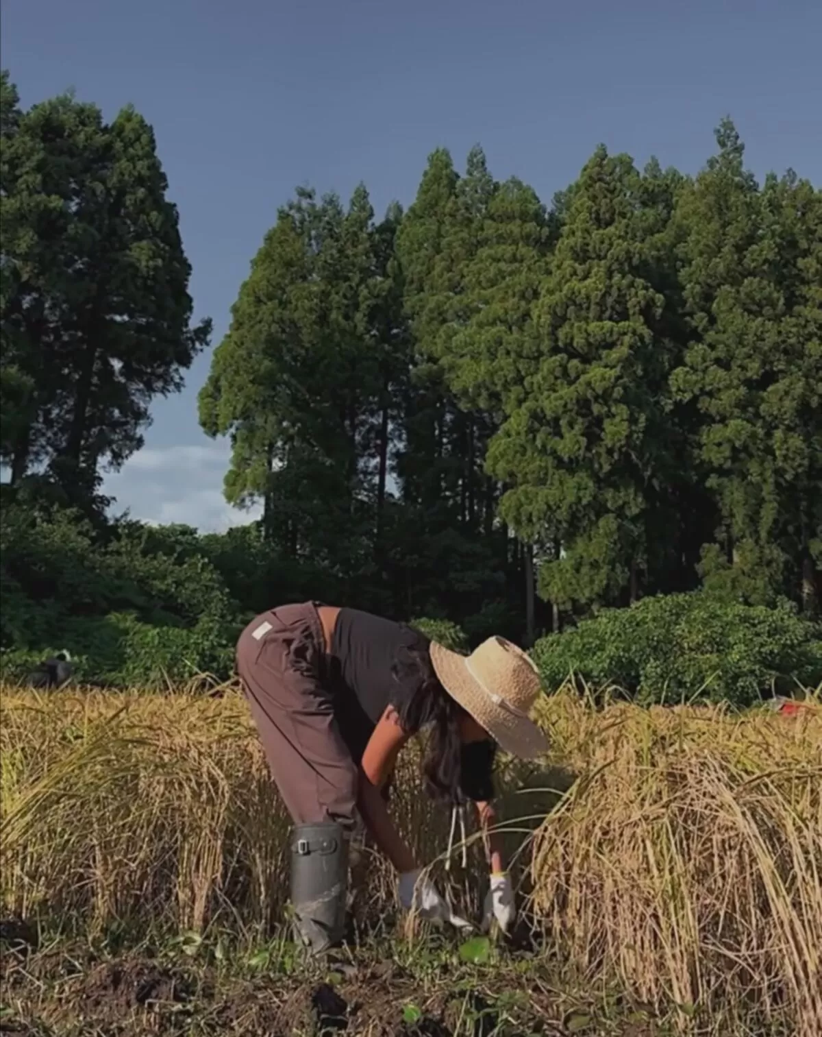 ローラエロ画像017