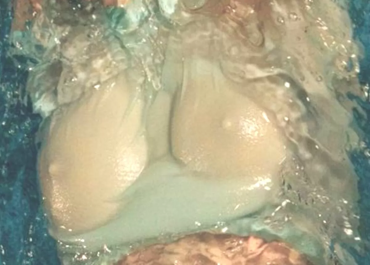 塗れた布に透けるおっぱいエロ画像62枚003