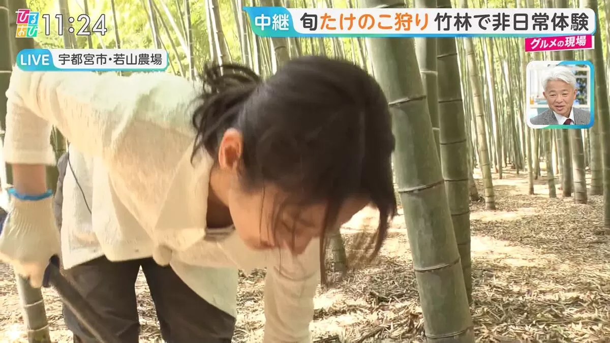 生放送胸チラエロ画像019