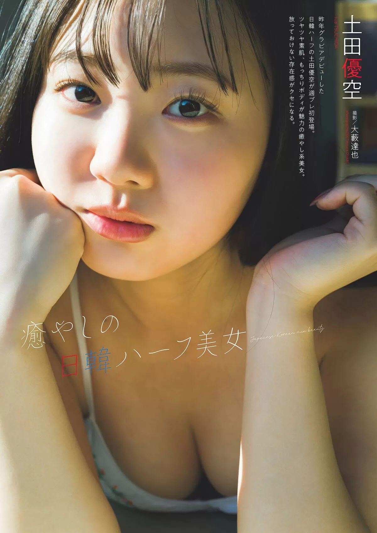 ハーフグラドルの水着おっぱいエロ画像055