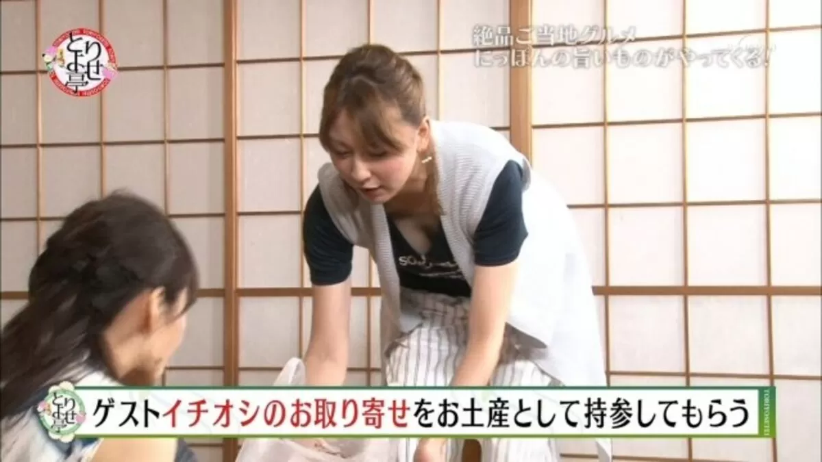 テレビ胸チラエロ画像045