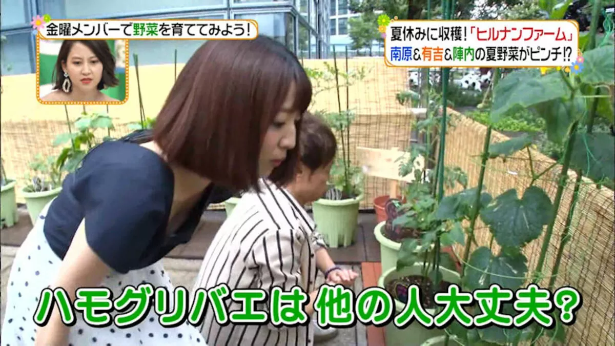 テレビ胸チラエロ画像141