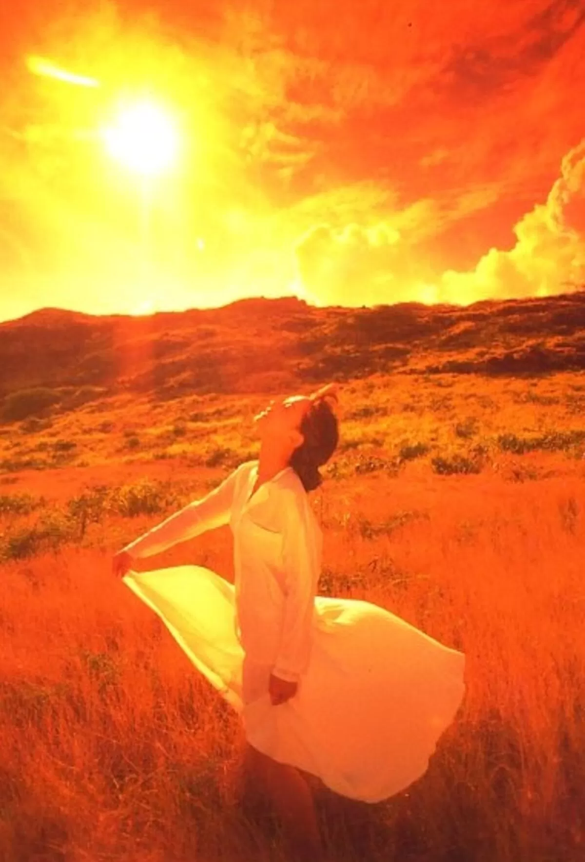 斉藤慶子エロ画像026