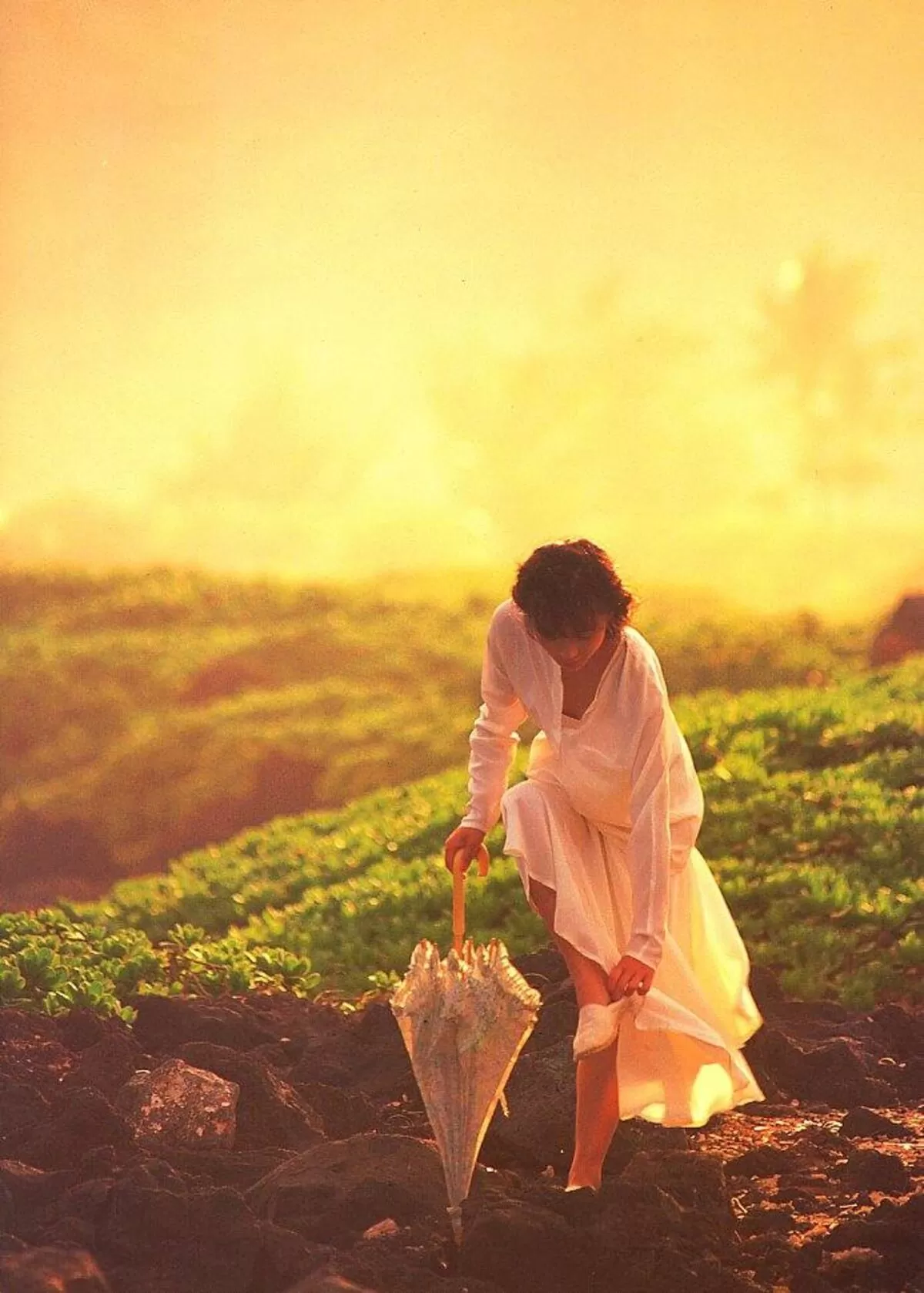 斉藤慶子エロ画像033