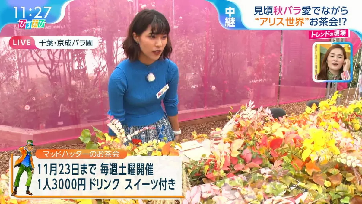 【画像】ひるおび御手洗菜々アナ、ニット越しのくっきりブララインが話題に011