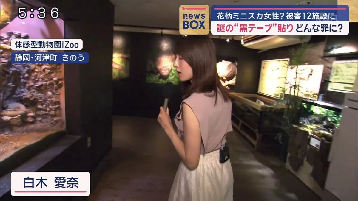 【画像】スーパーJチャンネルで白木愛奈アナが巨乳横乳から大胆ブラチラ！003