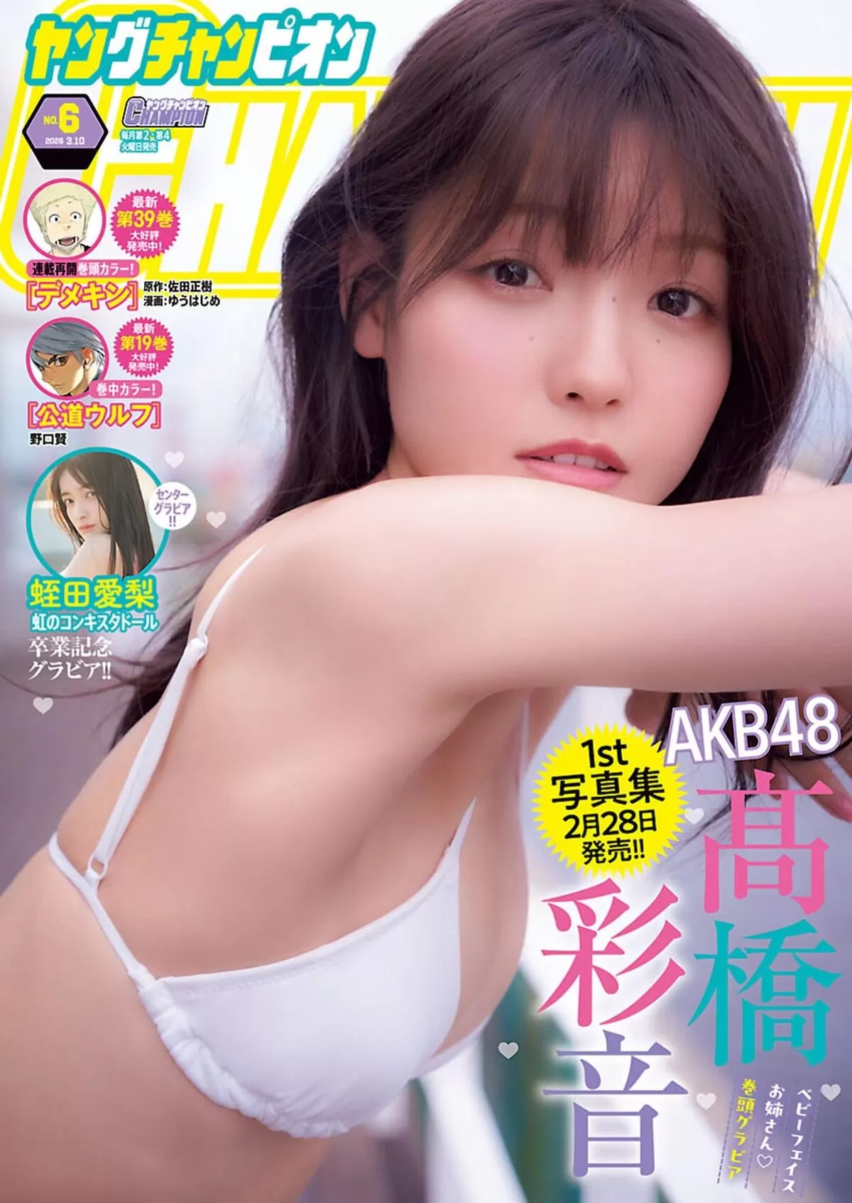 AKB48の水着エロ画像007