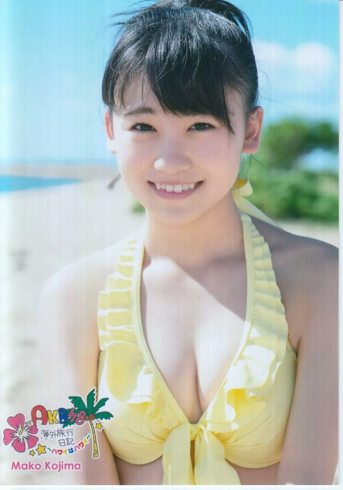 AKB48の水着エロ画像060
