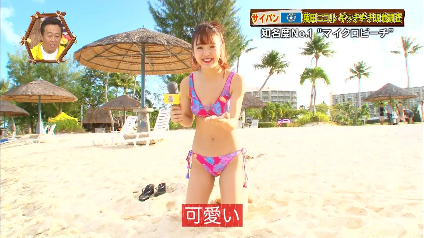 藤田ニコルエロ画像155