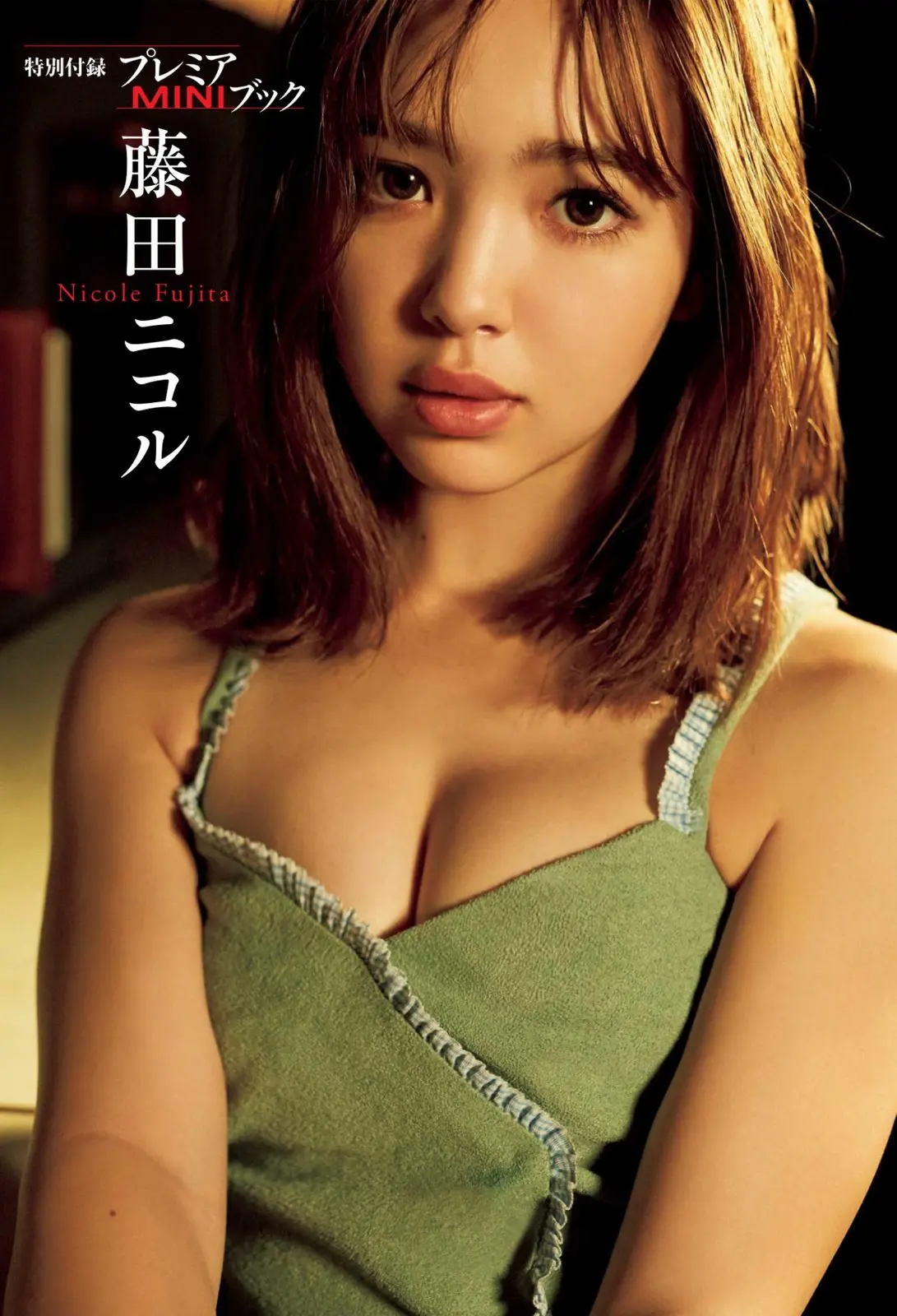 藤田ニコルエロ画像214