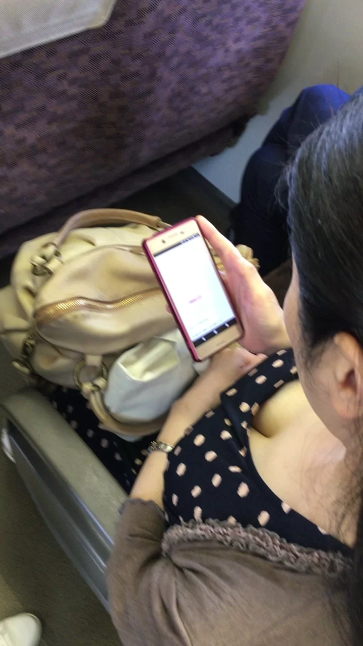 電車内でおっぱいを強調してる素人さんを盗撮画像011