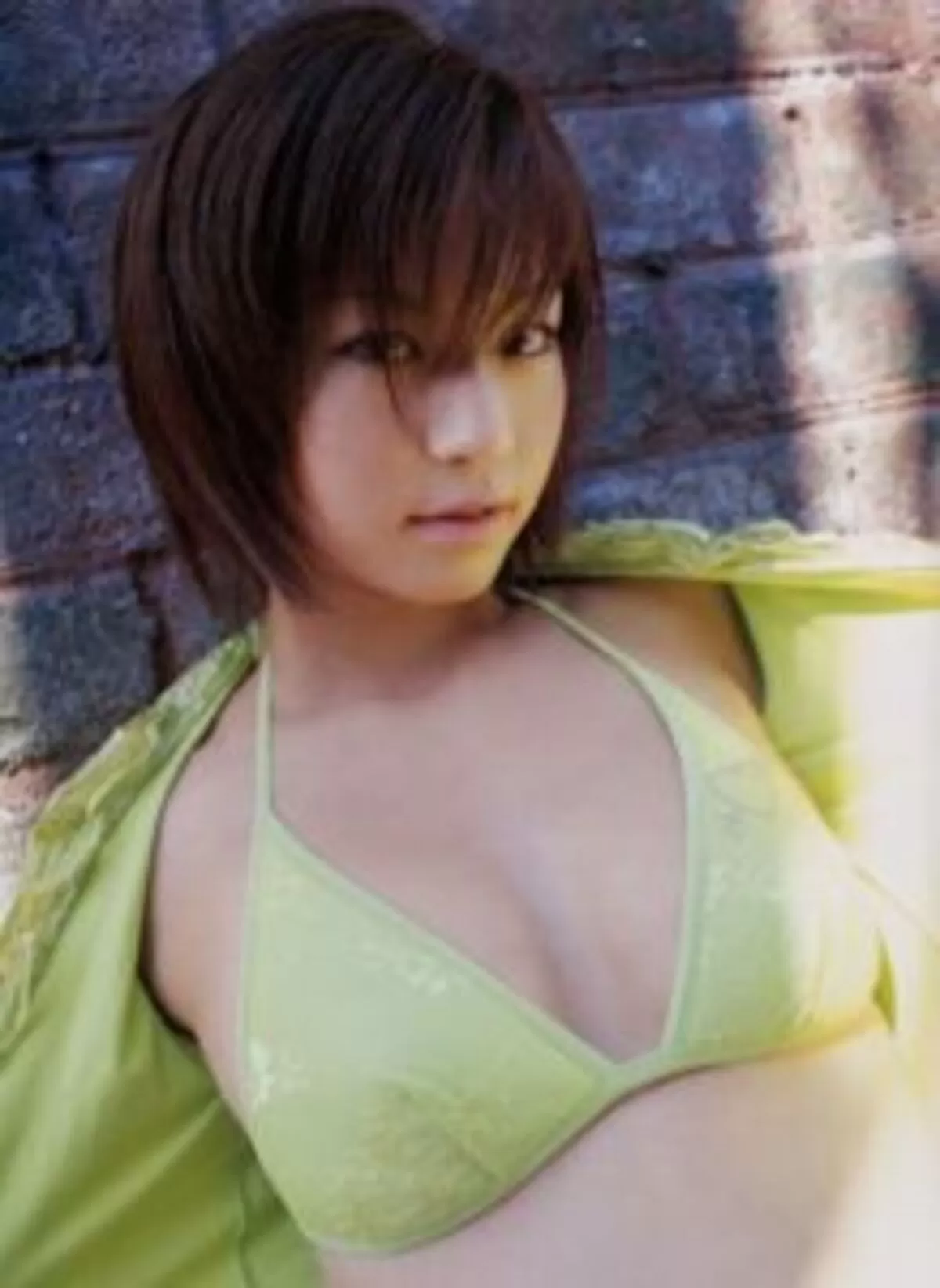 安田美沙子エロ画像300