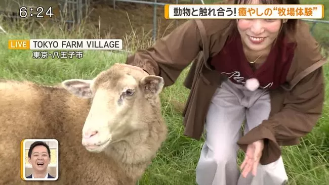 【画像】気象予報士の今井春花、グッドモーニングで前屈み谷間チラハプニング！のサムネイル