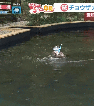 【画像】メ～テレ小松﨑花菜アナ、生中継でびしょ濡れおっぱい＆乳輪透け疑惑ｗｗｗのサムネイル