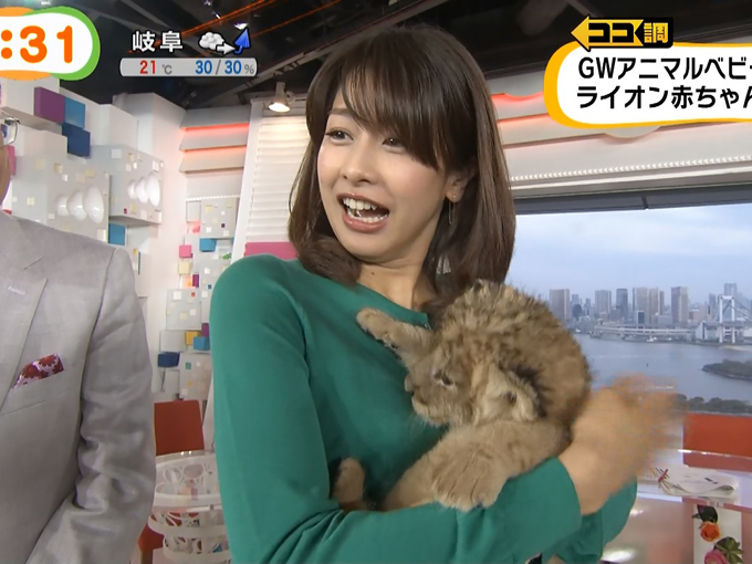 めざましでライオンの赤ちゃんがカトパンおっぱいを吸いそうになるのサムネイル