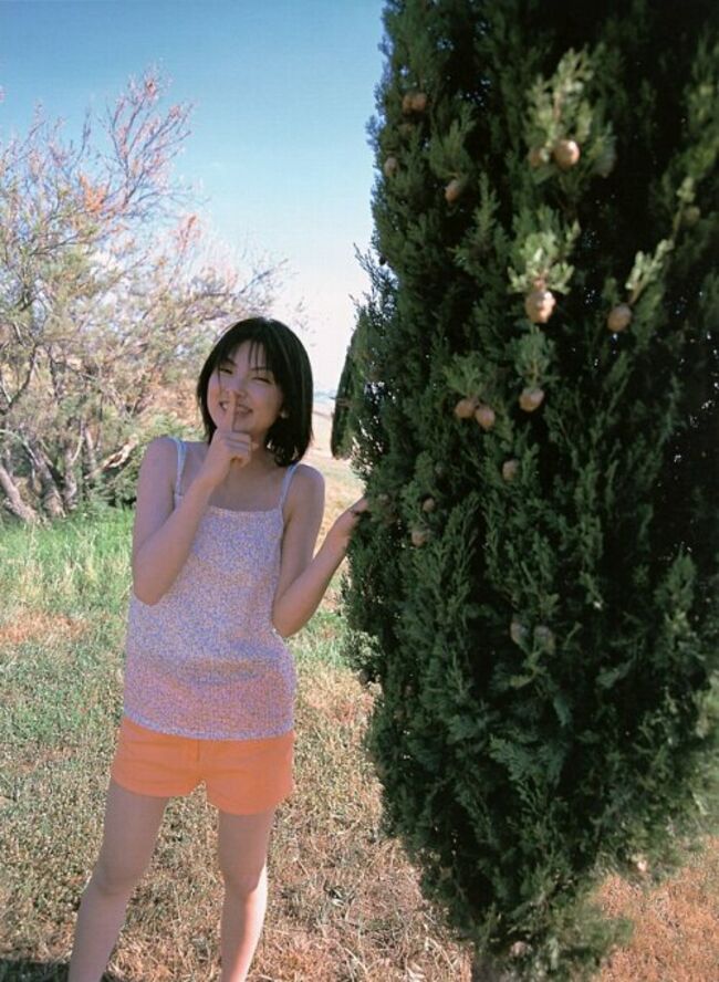 田中麗奈(34)のドレス姿からおっぱいがこぼれてる件032