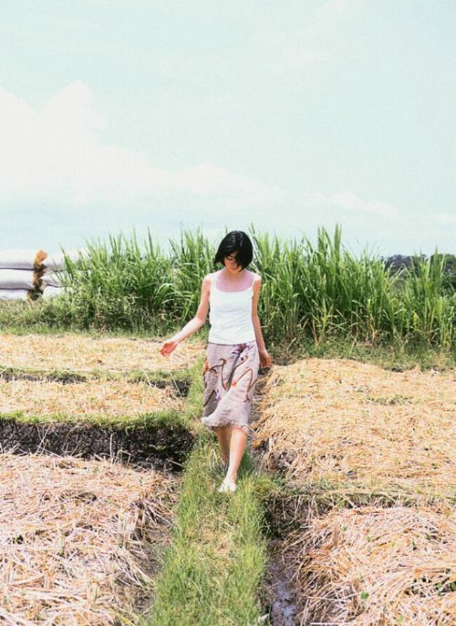 田中麗奈(34)のドレス姿からおっぱいがこぼれてる件096