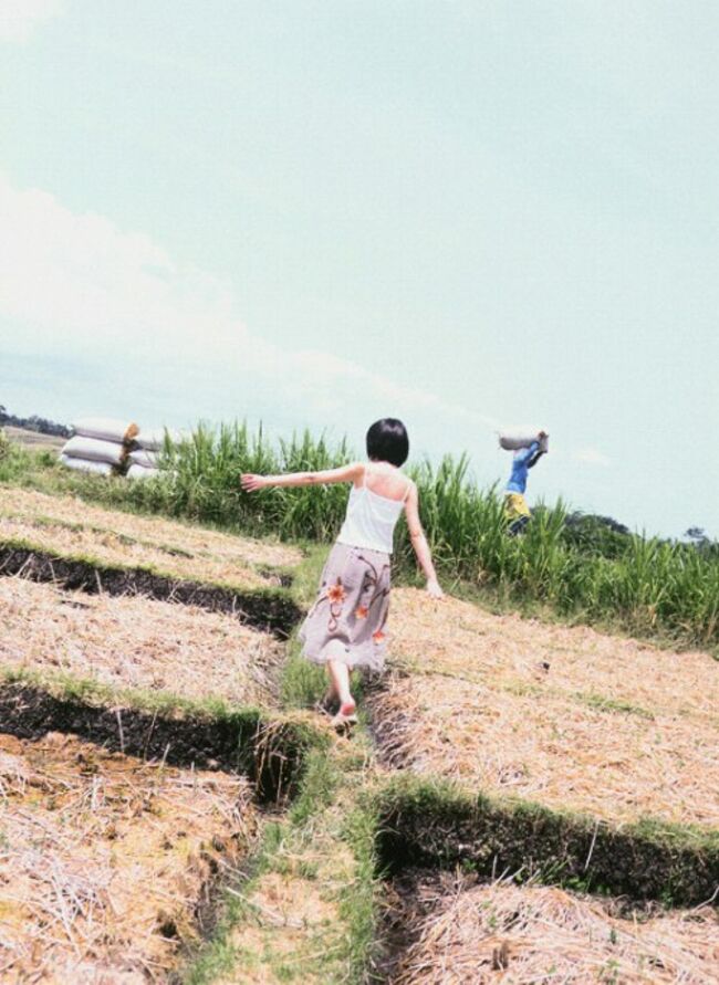 田中麗奈(34)のドレス姿からおっぱいがこぼれてる件097