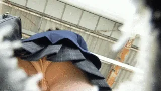 パンチラエロGIF画像135枚 芸能人のお宝パンツや素人の下着盗撮まとめ144