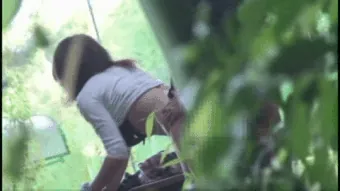 青姦エロGIF画像145枚 公園や林など野外でセックスしてるJKや人妻集めてみた007