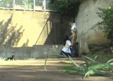 青姦エロGIF画像145枚 公園や林など野外でセックスしてるJKや人妻集めてみた029