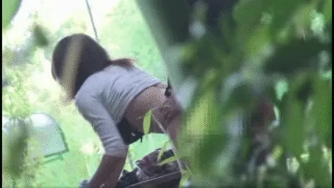 青姦エロGIF画像145枚 公園や林など野外でセックスしてるJKや人妻集めてみた034