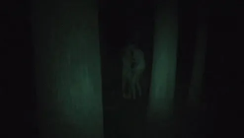 青姦エロGIF画像145枚 公園や林など野外でセックスしてるJKや人妻集めてみた078