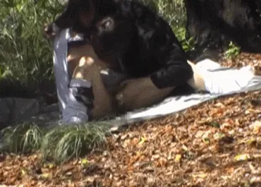 青姦エロGIF画像145枚 公園や林など野外でセックスしてるJKや人妻集めてみた082