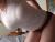 着衣おっぱいって裸よりエロいよな 【画像36枚】035
