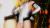 DEAD OR ALIVE Xtreme3の新作発売記念でマリーローズのエロ乳画像049