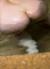 白木優子エロ画像212枚 美熟女ヌードや下品なフェラ顔＆抜ける動画紹介082
