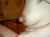 【閲覧注意】乳首がちんこ並にデカ過ぎるおっぱい画像031
