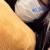 裏垢Twitterで20歳専門学校生がエロい裸体裸の美乳自撮り画像002