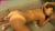 吹石れなエロ画像278枚 日焼け跡くっきりなGカップおっぱい熟女のセックスや抜ける動画集めてみた241