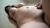 真木今日子エロ画像197枚＆おすすめ作品6選 デカ乳美熟女のヌードやセックス集めてみた106