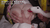 田中ねね エロ画像147枚 Gカップ垂れ爆乳ヌードやスケベセックス集めてみた019
