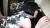 瀬良ゆきえエロ画像20枚 スレンダーBカップ貧乳熟女のセックスやおすすめ動画集めてみた012