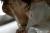 かすみりさエロ画像202枚 Gカップ爆乳痴女の妖艶なヌードやハメ撮りセックス＆おすすめ動画集めてみた045