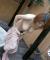 タオル巨乳エロ画像100枚 風呂上がりで薄ピンク色に染まった湯上りおっぱい集めてみた011