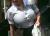 OL着衣巨乳エロ画像61枚 おっぱいが大きな素人OLの街撮り盗撮集めてみた020