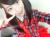 【アウトォォォｗｗｗ】アイドル大場美優佳(15)のおっぱいを彼氏に吸わせてる動画が流出するｗｗｗ (動画あり)013