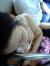 【胸チラ】居眠りしておっぱいが無防備な女性を激写ｗｗｗ 23枚012