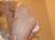 泡だらけのおっぱいにしゃぶりつきたいわ＾～ (画像52枚)022
